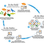 Smithsonian Genetic Collecting Workflow